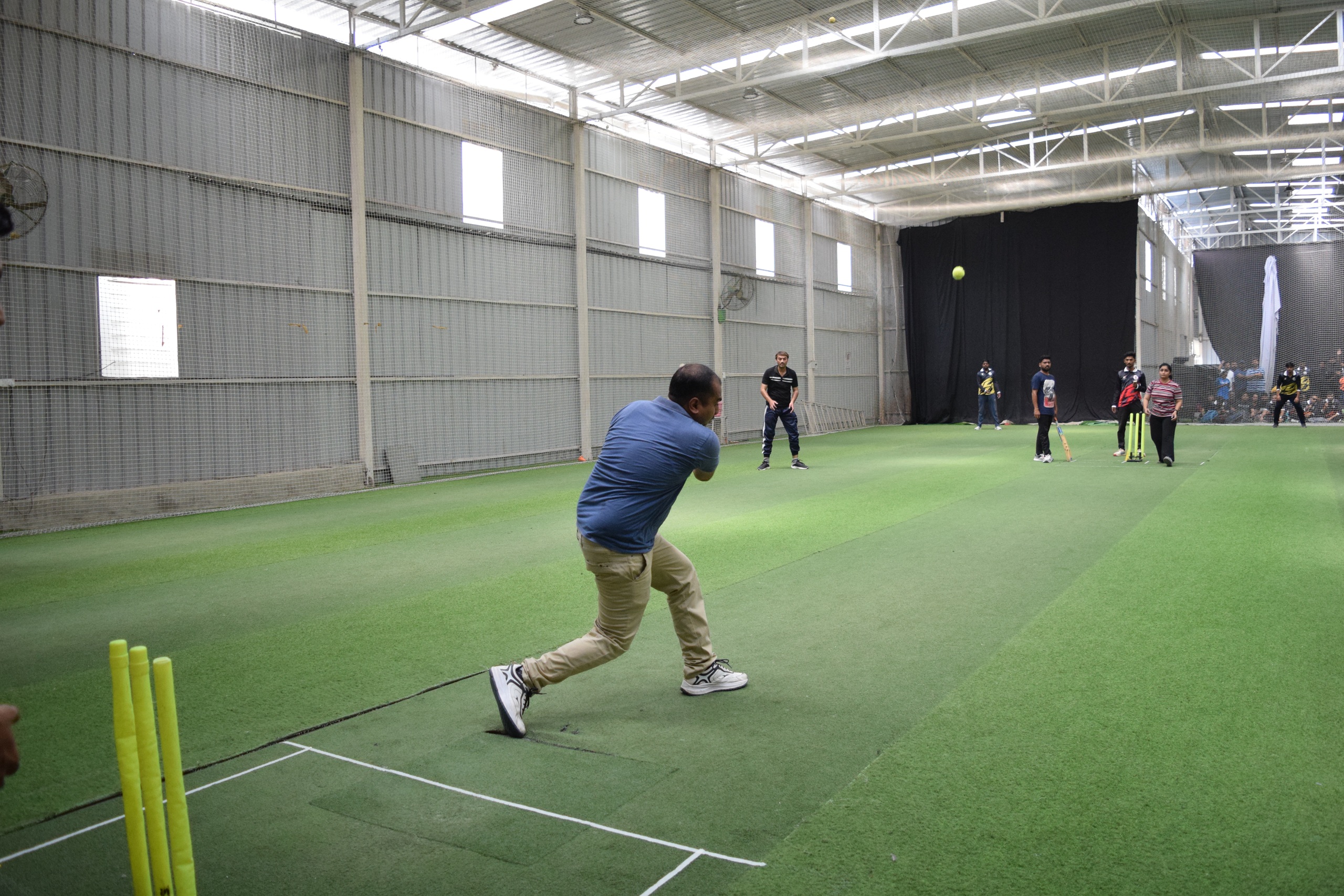 stemmons business services   box cricket 